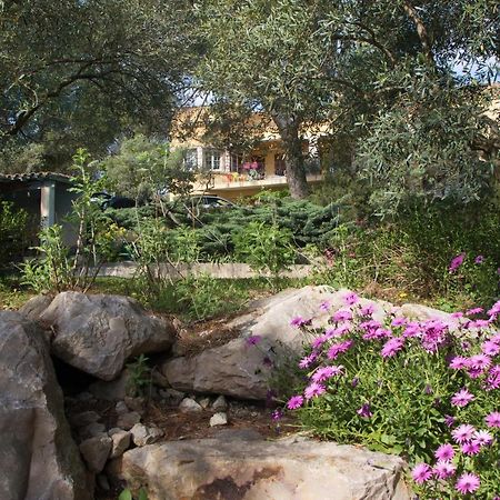 Chambre D'Hote "Avignon" Aramon Kültér fotó
